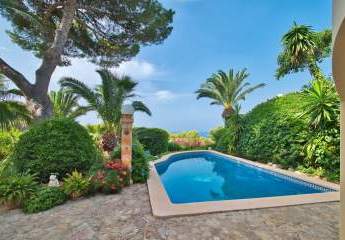 453801-Vorschaubild2