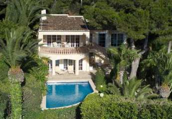 453801-Vorschaubild3