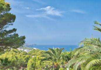 453801-Vorschaubild4