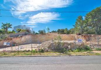 453807-Vorschaubild2