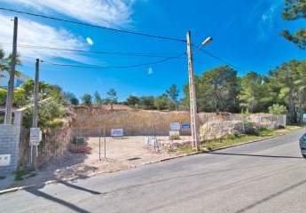 453807-Vorschaubild3