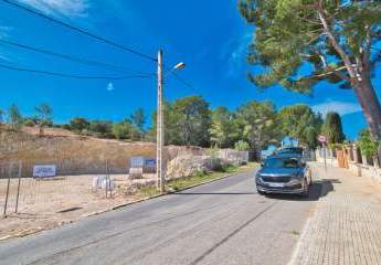 453807-Vorschaubild4