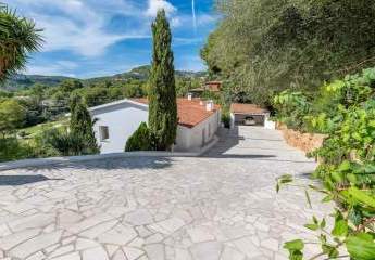 454146-Vorschaubild3