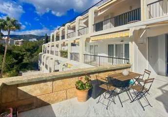 454150-Vorschaubild3