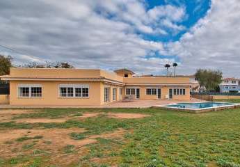 454152-Vorschaubild4