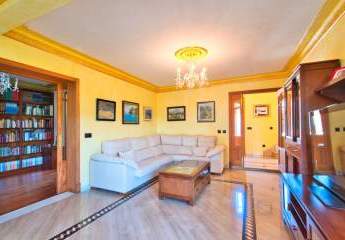 454155-Vorschaubild3