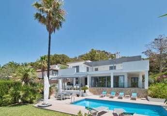 454427-Vorschaubild2