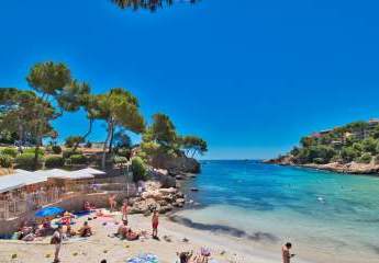 454428-Vorschaubild2