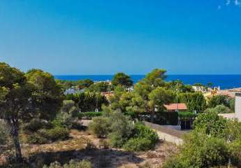 454436-Vorschaubild2