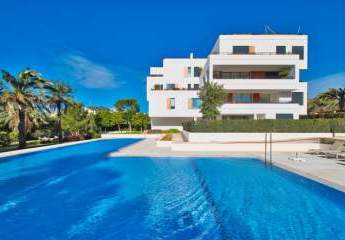 454475-Vorschaubild3