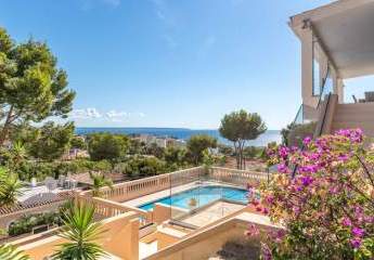 454476-Vorschaubild2