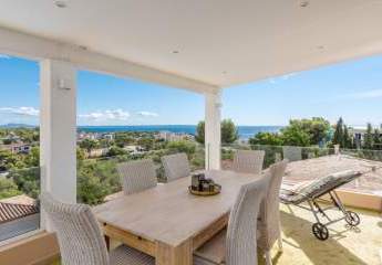 454476-Vorschaubild4