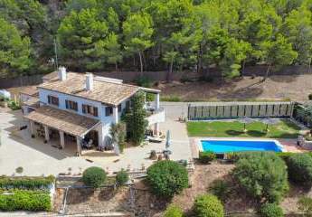 454484-Vorschaubild3