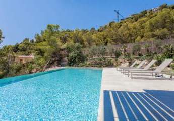 454487-Vorschaubild2