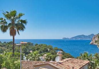 454488-Vorschaubild3