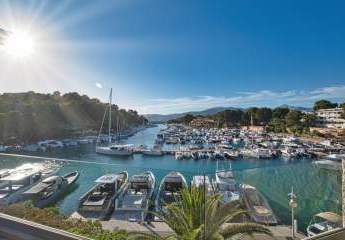 454491-Vorschaubild4