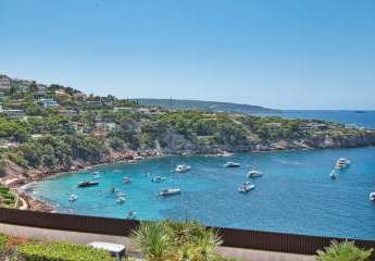 455828-Vorschaubild3