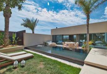 455838-Vorschaubild2