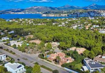 455844-Vorschaubild4