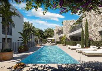 455905-Vorschaubild2