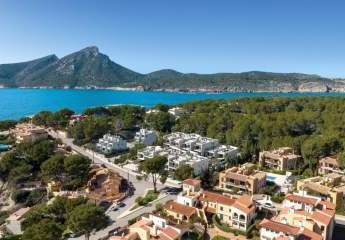 455906-Vorschaubild2