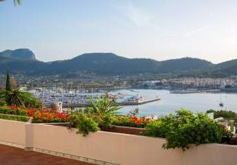 456699-Vorschaubild3