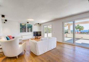 456706-Vorschaubild3