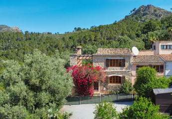 457623-Vorschaubild2