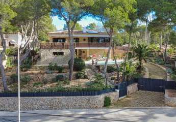 463535-Vorschaubild2