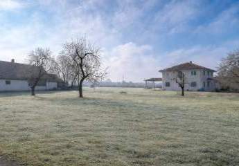 463556-Vorschaubild2