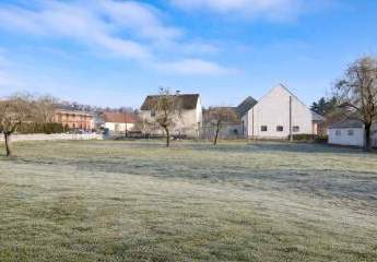 463556-Vorschaubild3