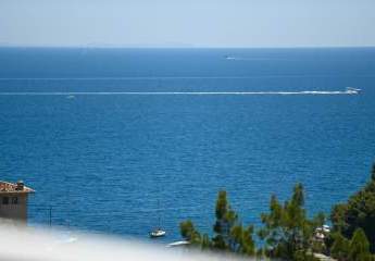 468250-Vorschaubild2