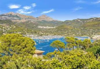 468308-Vorschaubild3