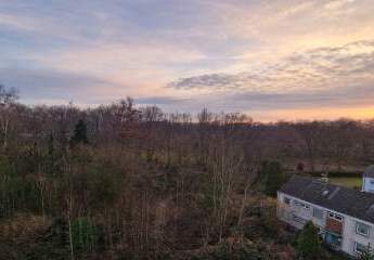 466582-Vorschaubild2