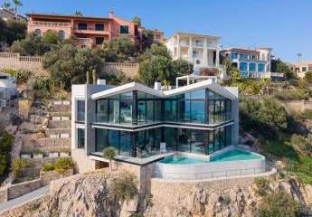 469962-Vorschaubild4