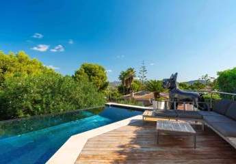 470014-Vorschaubild3