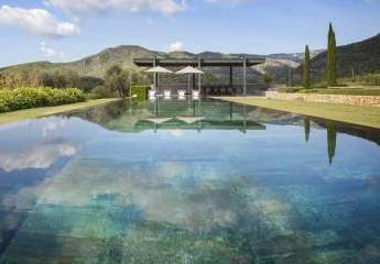 470396-Vorschaubild4