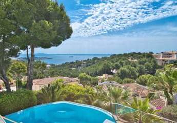 470442-Vorschaubild2