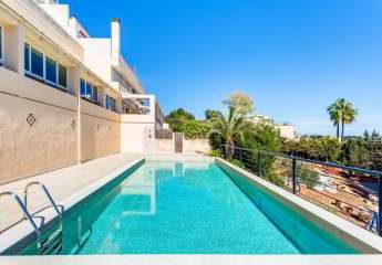 471446-Vorschaubild3