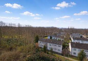 471509-Vorschaubild2