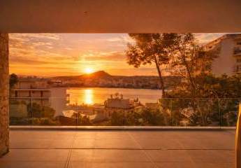 472262-Vorschaubild3