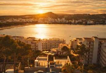 472262-Vorschaubild4