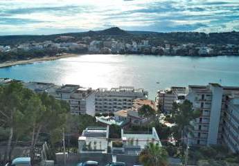 472263-Vorschaubild3