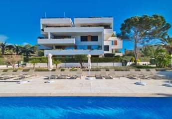 472736-Vorschaubild3