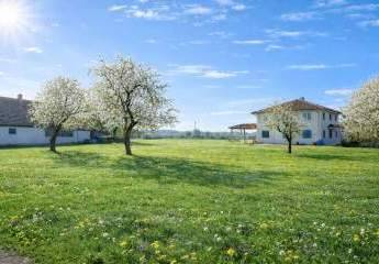 474728-Vorschaubild2