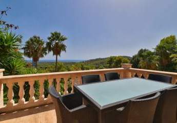 454142-Vorschaubild3