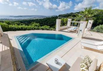 454154-Vorschaubild3