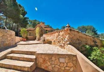 454423-Vorschaubild4