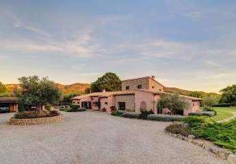 453787-Vorschaubild2