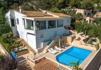 454476-Vorschaubild3